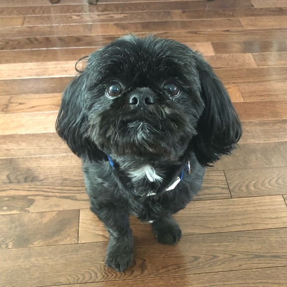 Welcome! - Picture 6 of 6